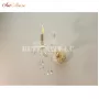 8801/1 Gold