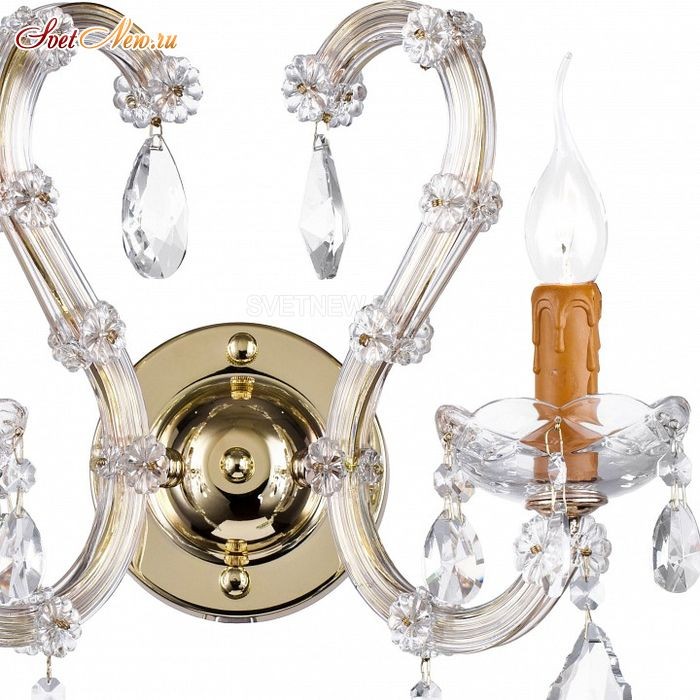 Galliano E 2.1.2.300 G