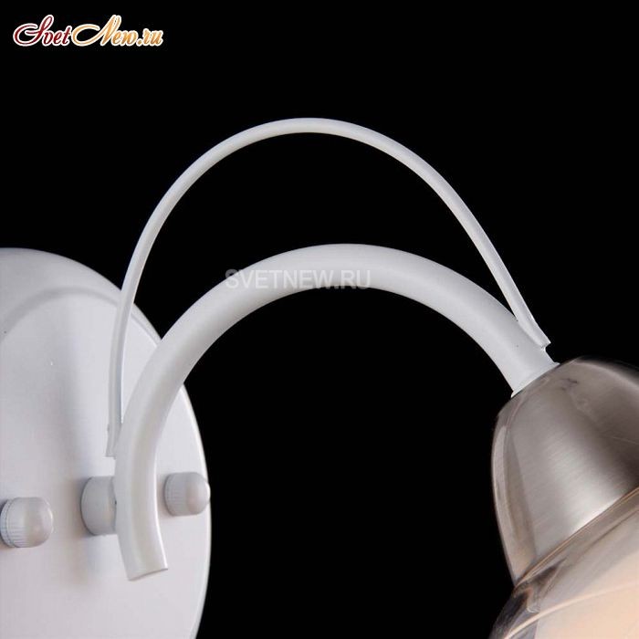 FR5052-WL-01-W