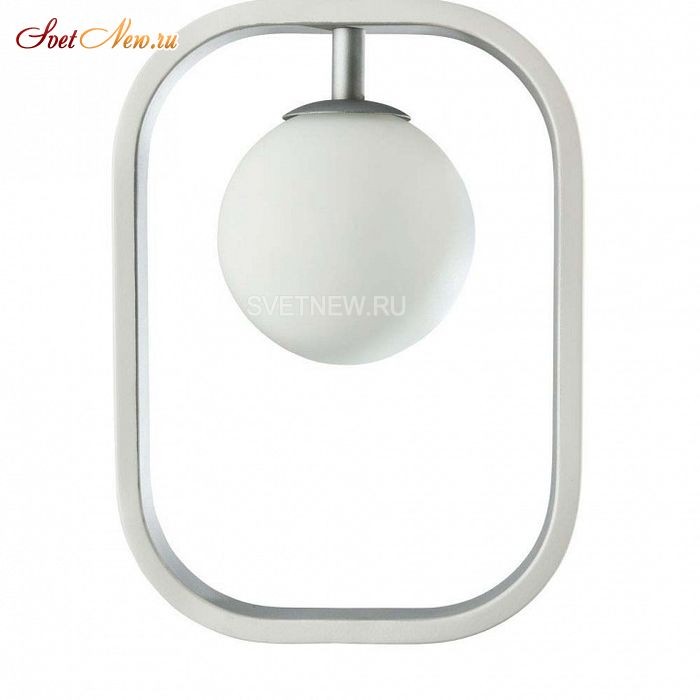 MOD431-PL-01-WS
