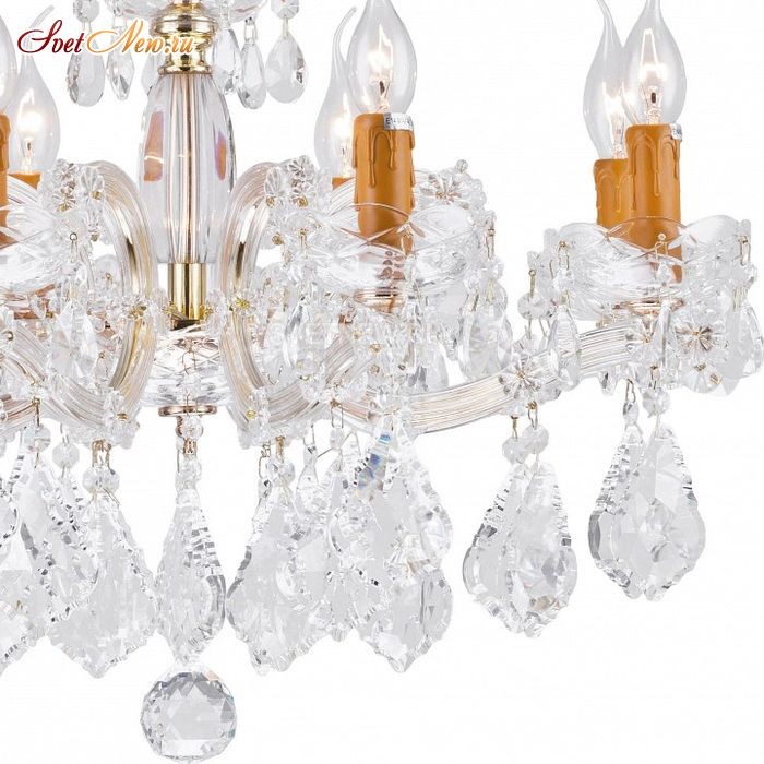 Galliano E 1.1.8.300 G