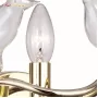 1750-1W