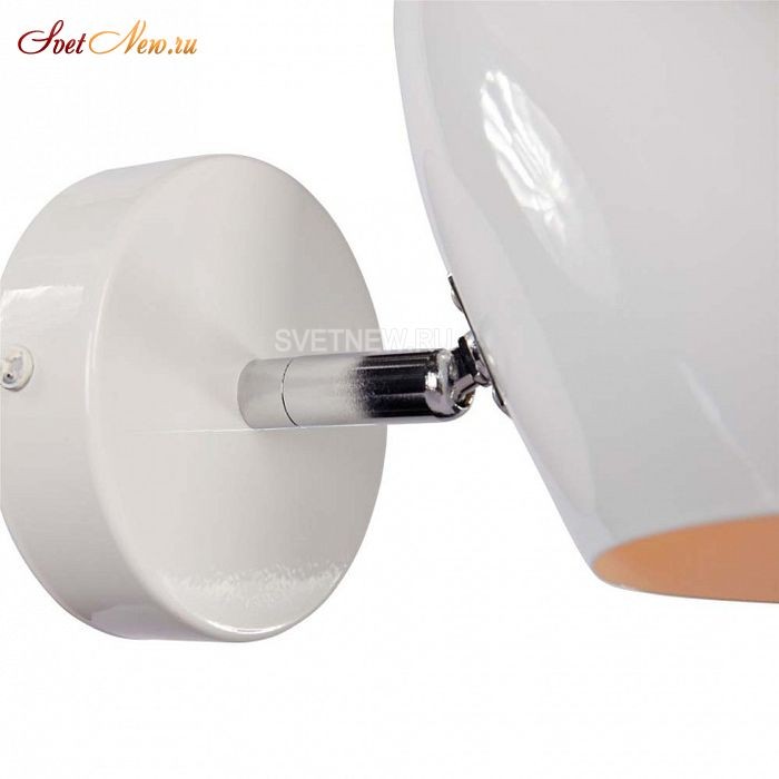 FR5852-WL-01-W