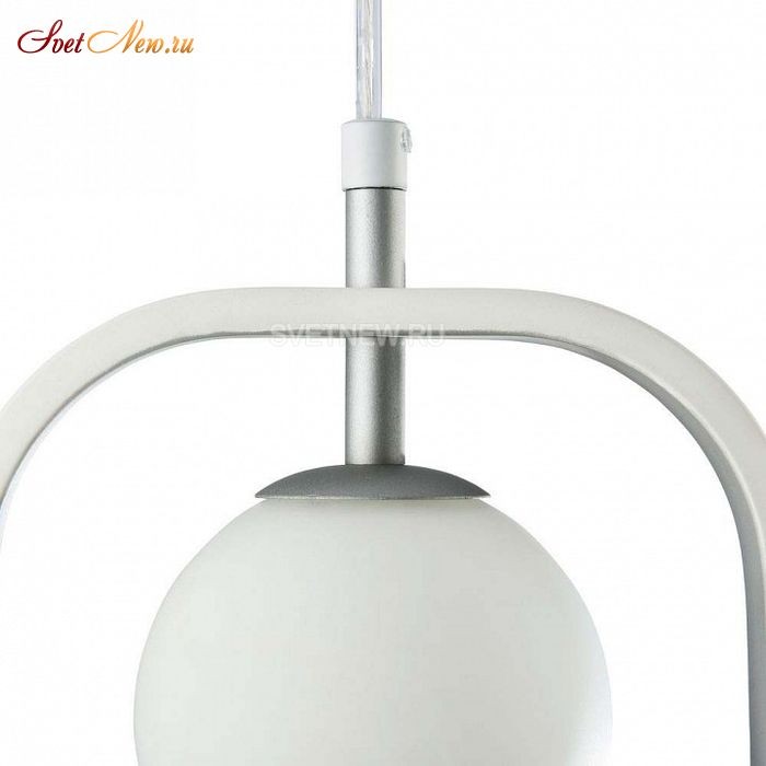 MOD431-PL-01-WS