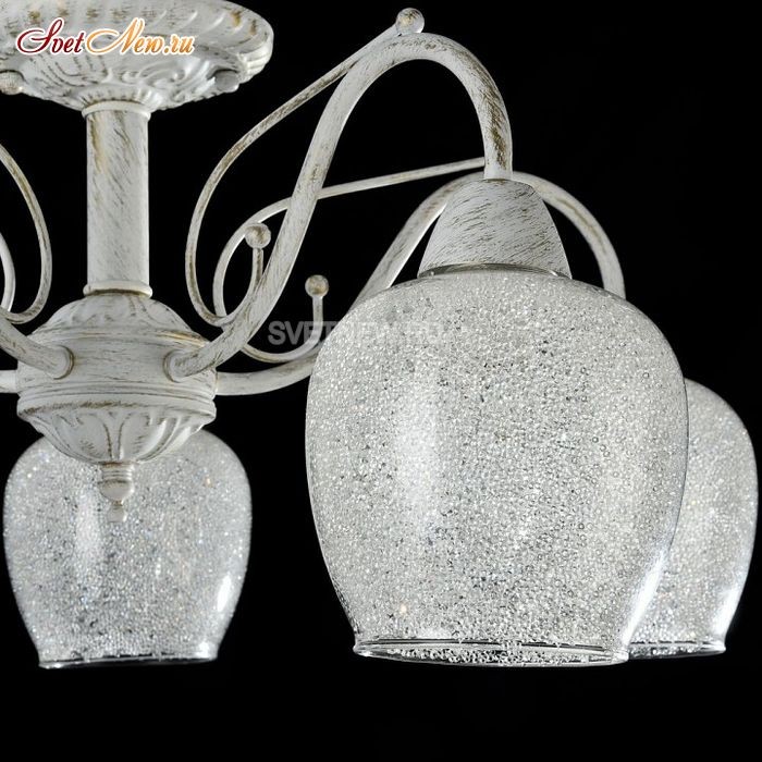 FR2751-PL-05-WG