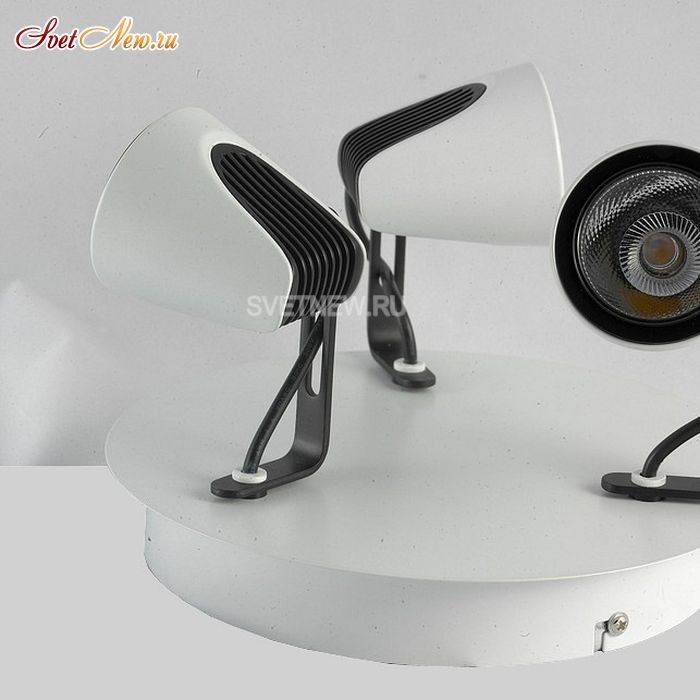 LSN-4101-03