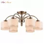 FR2539CL-06BS