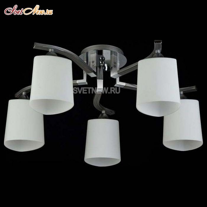 MOD131-CL-05-N