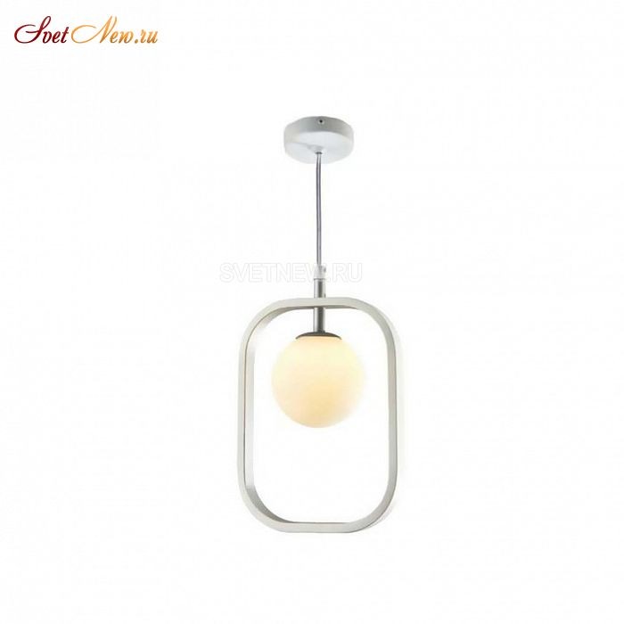 MOD431-PL-01-WS