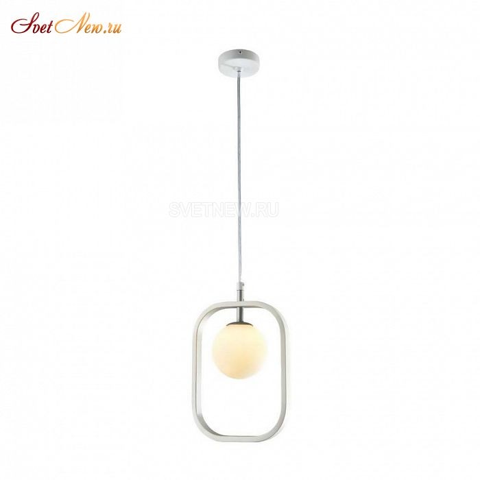 MOD431-PL-01-WS