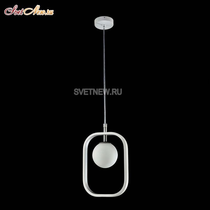MOD431-PL-01-WS
