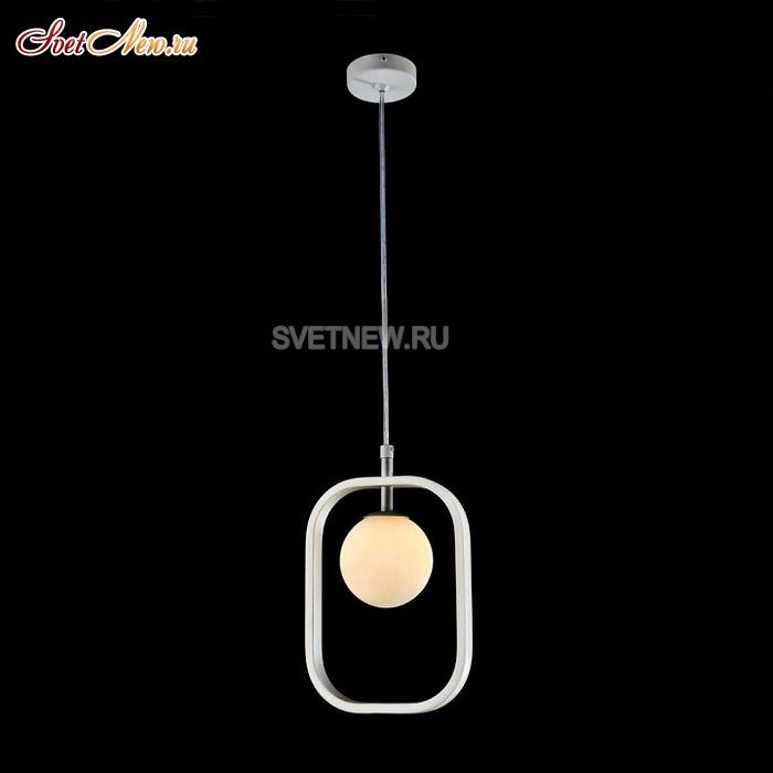 MOD431-PL-01-WS