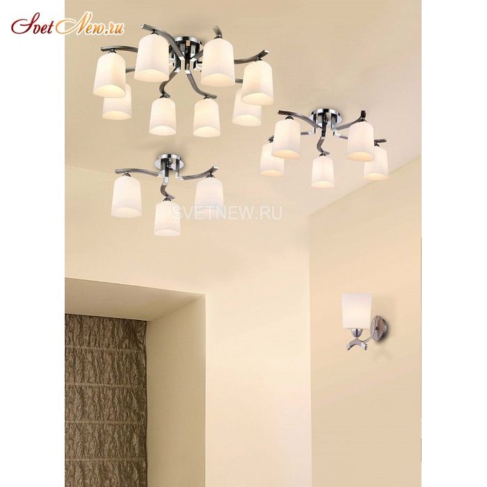 MOD131-CL-08-N