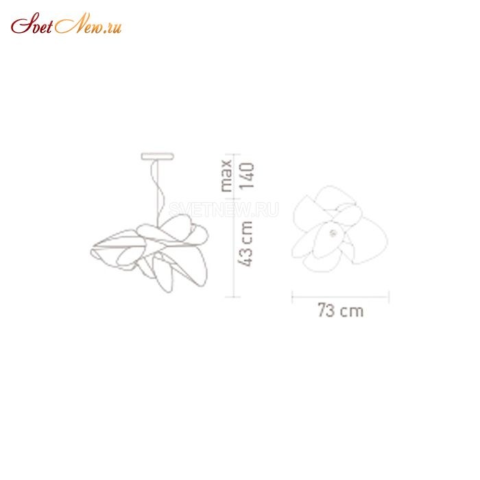 Etoile Small