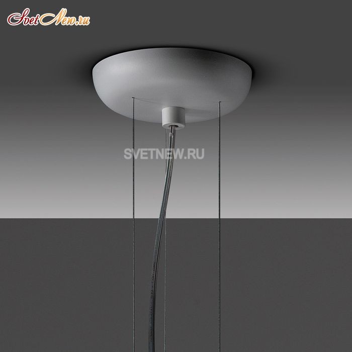 SP MUSE 60 White