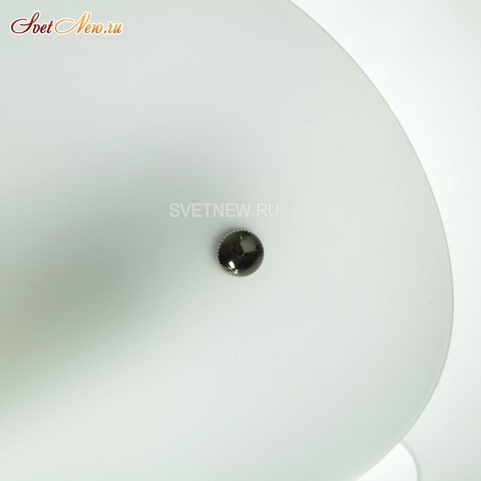 1/1242-E-43
