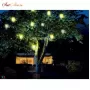 LAMPION H2 verde