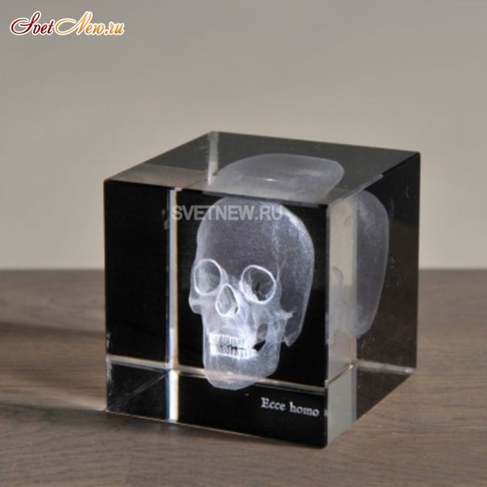 Skull 3D Small