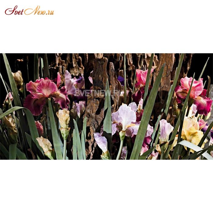 230021.70 LEAF IRIS