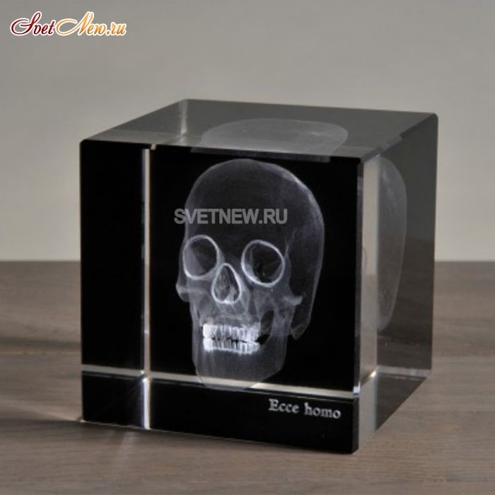 Skull 3D Large