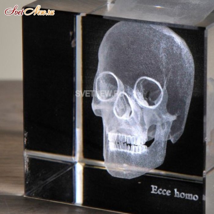 Skull 3D Small