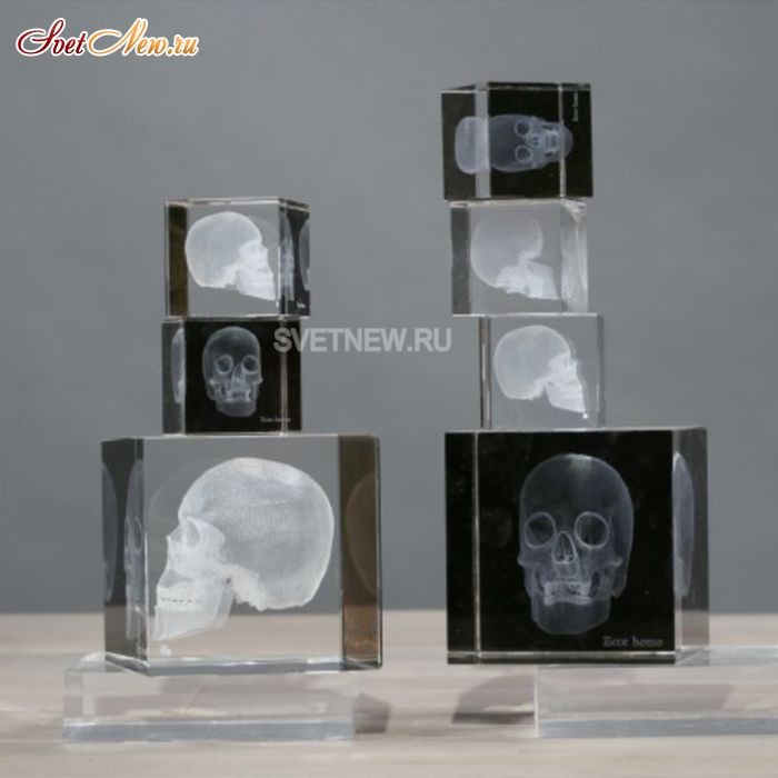Skull 3D Large