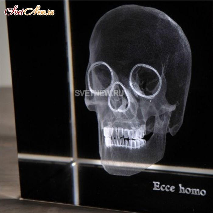 Skull 3D Large