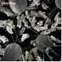210045.10 Orhidea phalenopsis