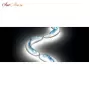 Crocco Medium Blue