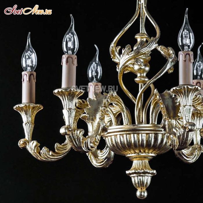 Stradivario Oro