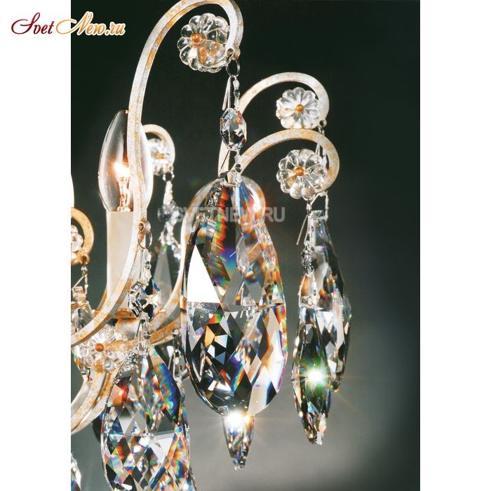 MW-8001/12P (1) CH