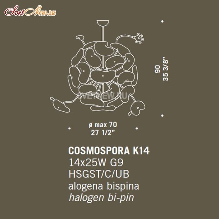 Cosmospora
