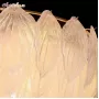 Novida L12 light gold