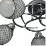 TL7430X-05BP