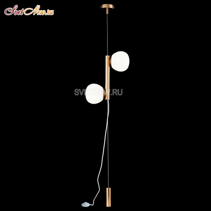 MOD221FL-01G