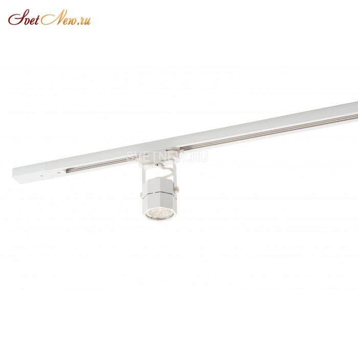 DK6004-WH