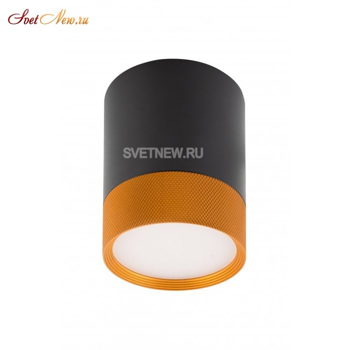 DK4017-BG