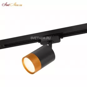 DK6405-BG