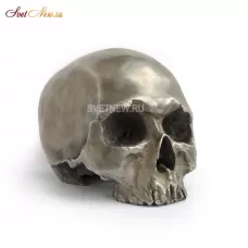 Череп Statuette