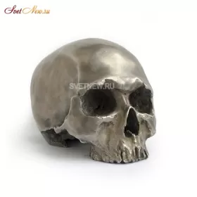 Череп Statuette