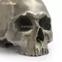 Череп Statuette