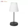 V3816-1/1L