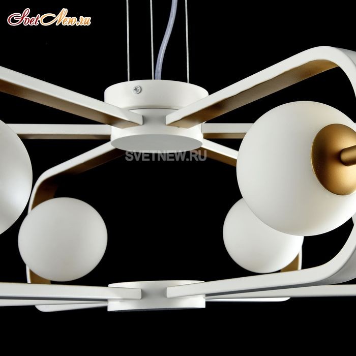 MOD431-PL-06-WG
