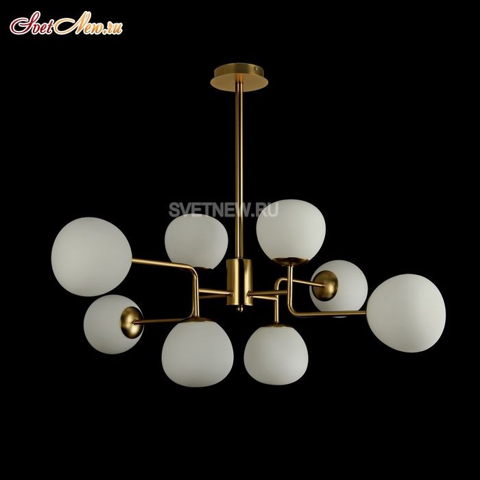 MOD221-PL-08-G