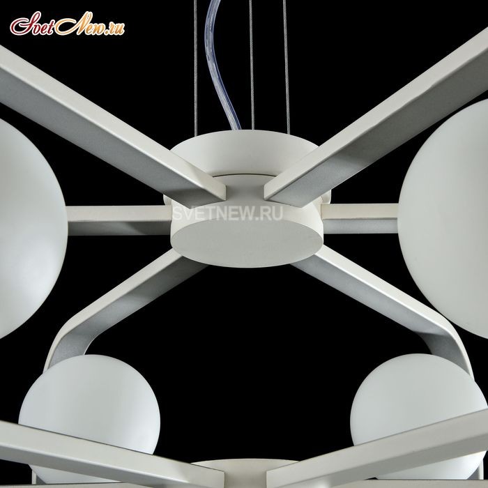 MOD431-PL-06-WS