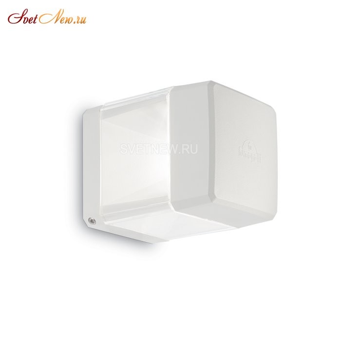 ELISA AP1 BIANCO
