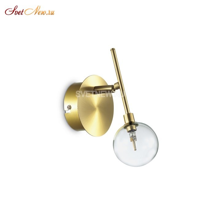MARACAS AP1