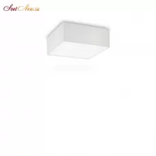 RITZ PL4 D40