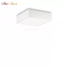 RITZ PL4 D50