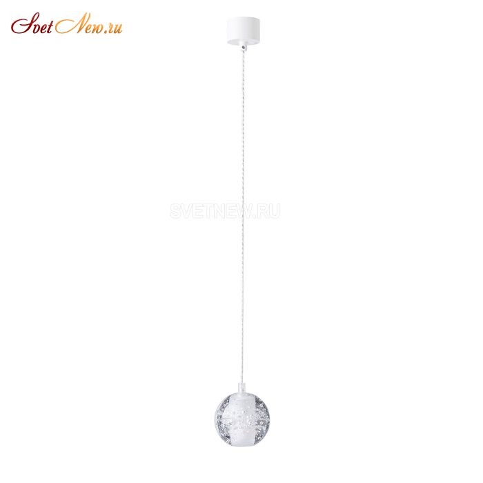 GASPAR SP1 WHITE